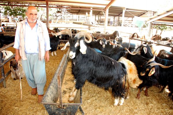 Kurban kesim ve satış yerleri belirlendi