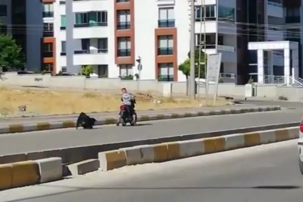 Kurbanlık Keçiye İşkence