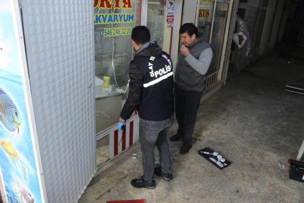 Kuşların çalınma anı güvenlik kameralarına yansıdı