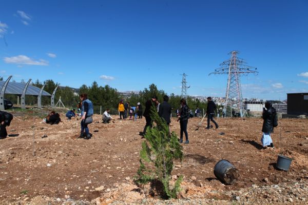 Kütüphaneler haftasında 270 ağaç dikimi yapıldı