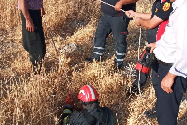 Kuyuya düşen keçiyi itfaiye kurtardı