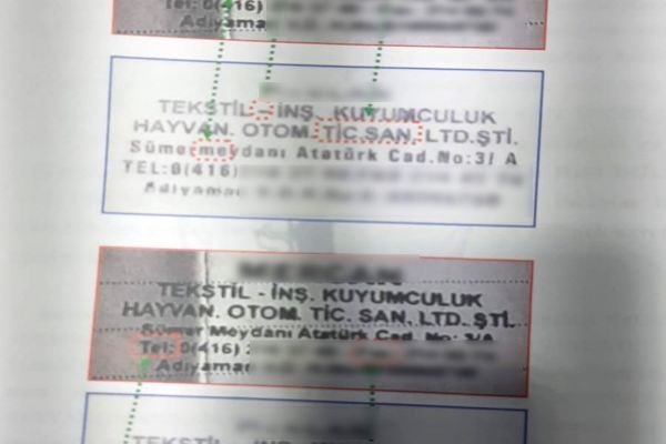 Milyonlarca liralık vurgun yapan çete çökertildi