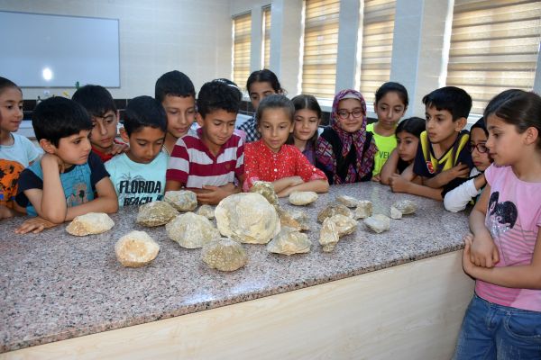Öğrenciler 70 milyon yıllık fosilleri dokunarak inceledi