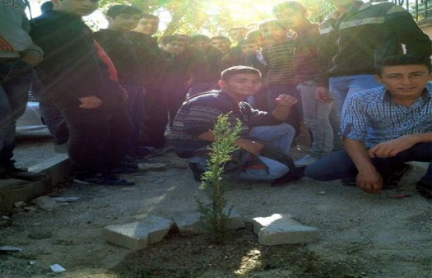 Öğrenciler Okul Bahçesini Ağaçlandırdı