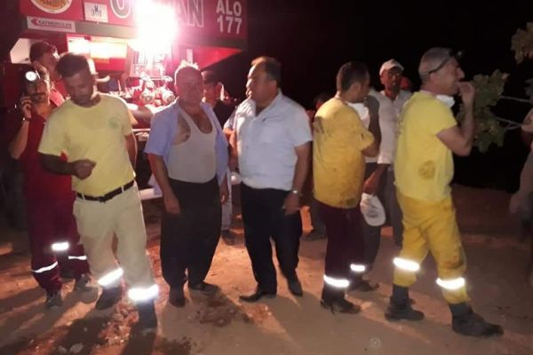 Orman yangını fıstık bahçelerine zarar verdi