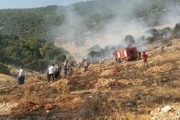 Orman yangını paniğe neden oldu