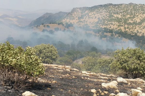 Orman Yangınını Mermer Ocağında Çalışan İşçiler Söndürdü