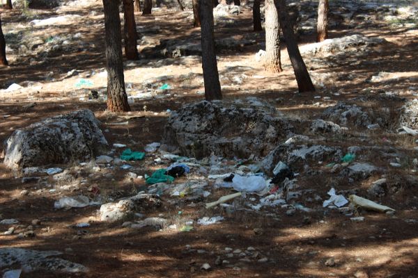 Ormanlık alan çöplüğe döndü