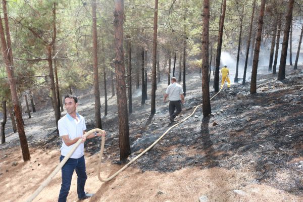 Ormanlık alan iki haftada 10 defa yandı