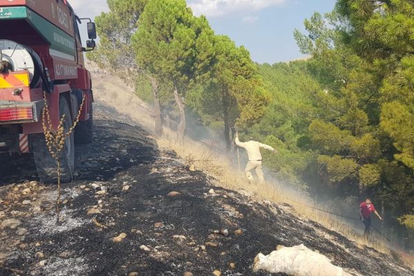 Ormanlık alanda yangın