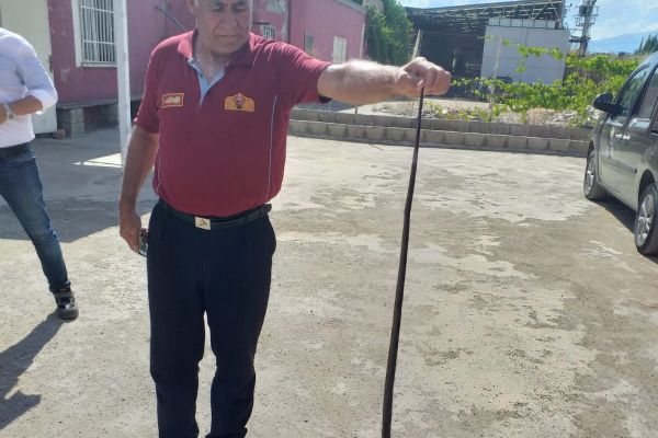OSB İdari binasına giren yılan etkisiz hale getirildi