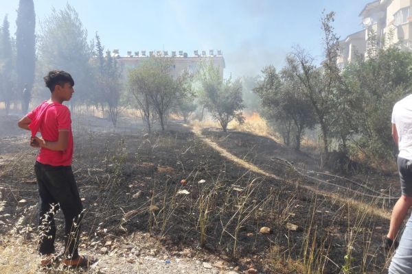 Ot yangını meyve ağaçlarına sıçradı