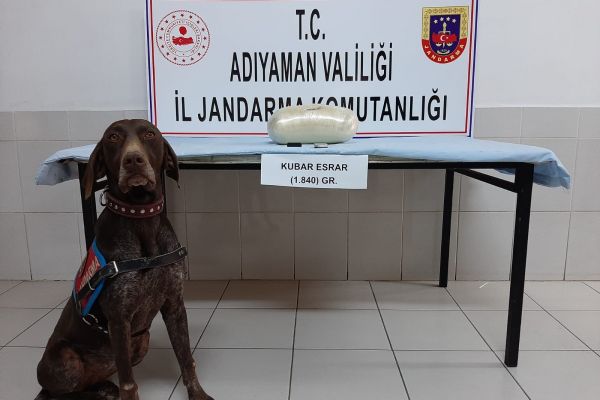 Otobüsteki uyuşturucuyu 'manken' buldu