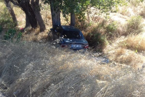 Otomobil ağaca çarptı: 3 yaralı