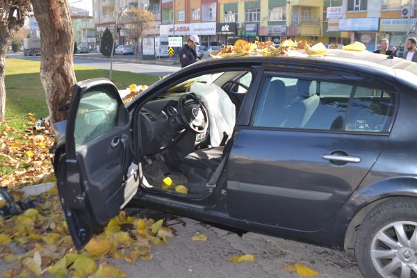 Otomobil Ağaca Çarptı