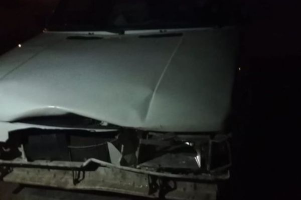 Otomobil domuza çarptı: 2 yaralı