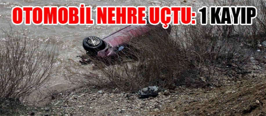 OTOMOBİL NEHRE UÇTU: 1 KAYIP