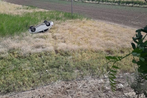 Otomobil taklalar atarak tarlaya uçtu: 2 Yaralı