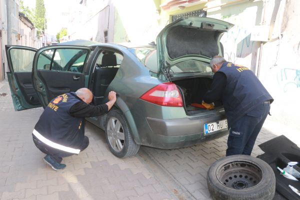 Otomobilde yılan paniği