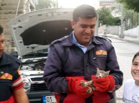 Otomobile Sıkışan Kedi Kurtarıldı