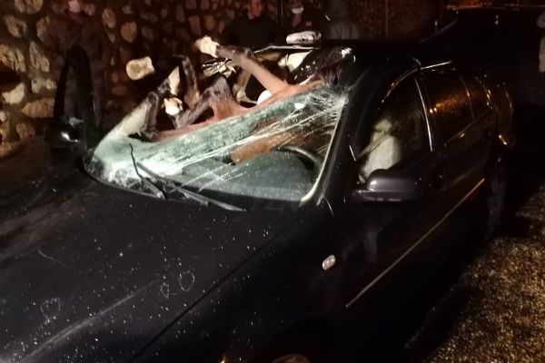 Otomobilin çarptığı at, aracın içine girdi