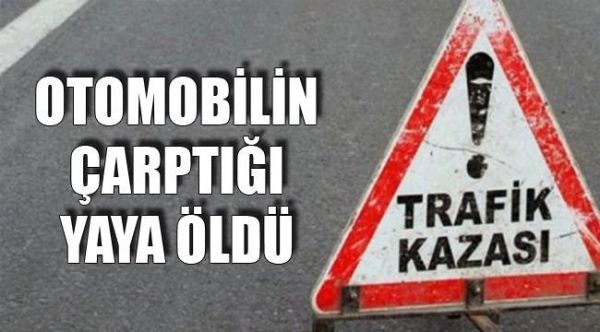 Otomobilin çarptığı kadın öldü..!