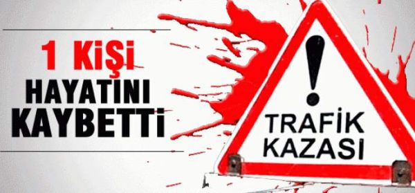 Otomobilin çarptığı yaya öldü