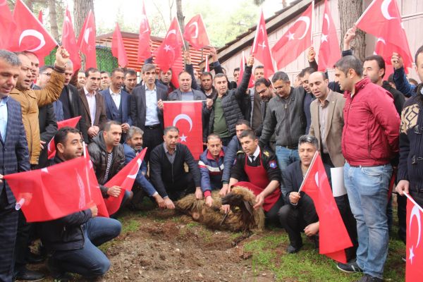 Özel güvenlik görevlileri kahraman Mehmetçik için kurban kesti