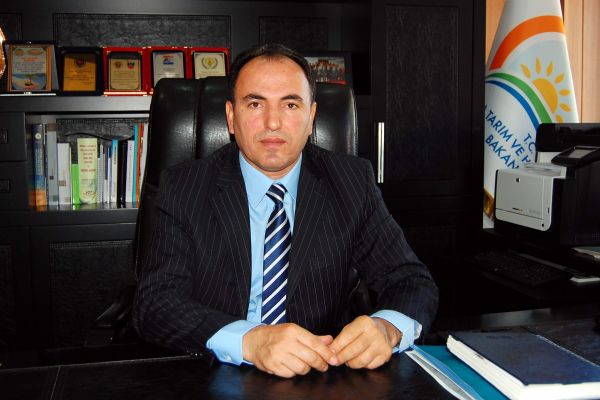 PAMUK, MISIR VE SOYA DESTEKLEME PRİMLERİ YATIRILIYOR