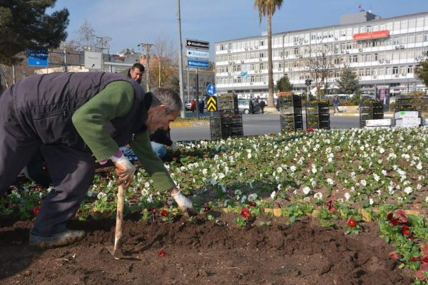 Park Ve Bahçe Düzenlemeleri Devam Ediyor