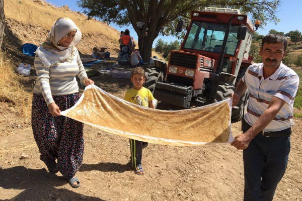 Pestiller kurutulmaya başlandı
