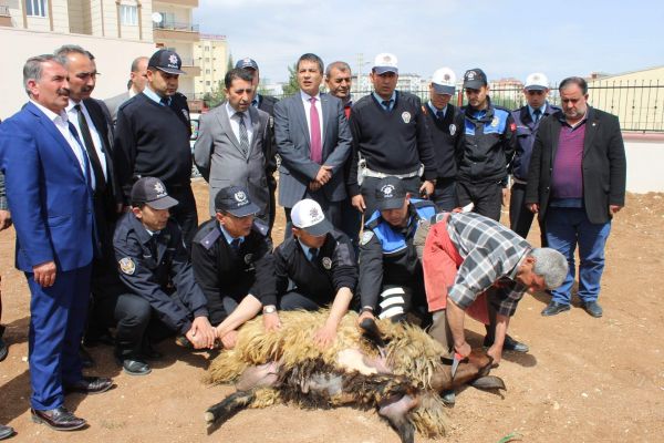 Polis kazalara karşı kurban kesti