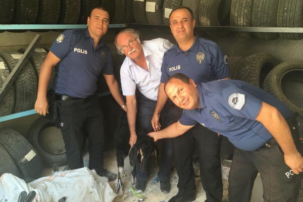 Polis tarafından bulunan kurbanlık sahibine teslim edildi