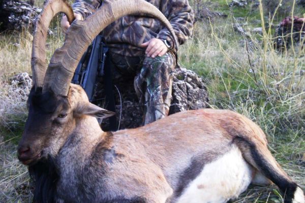 HEM ÖLDÜRDÜLER HEM DE, REKOR GELİR SAĞLADILAR..!