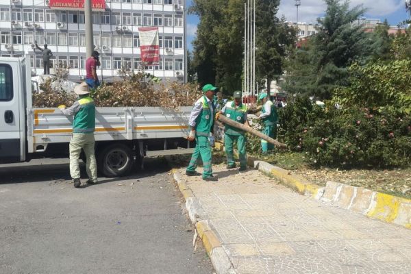 Rüzgarın devirdiği dut ağacı kesilerek kaldırıldı