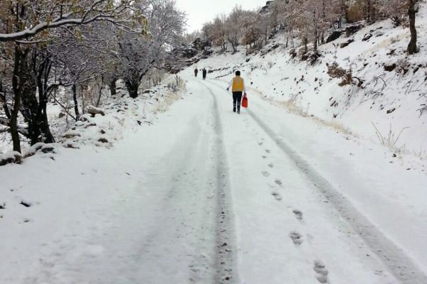 Sağlık ekipleri karlı havada hastaya ulaşmak için 5 kilometre yürüdü