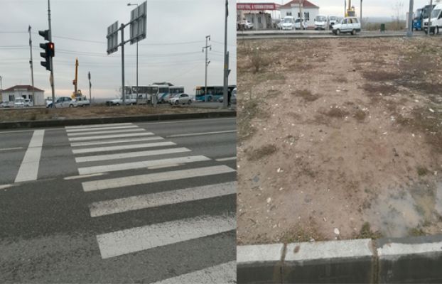 Sahipsiz Memlekette Bu Normaldir