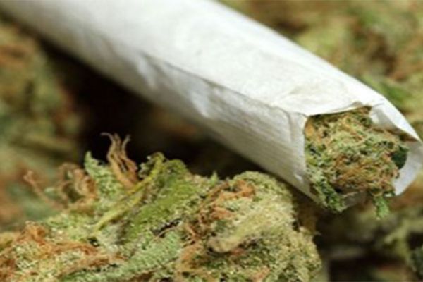 Satışa hazır 350 paket bonzai maddesi ele geçirildi