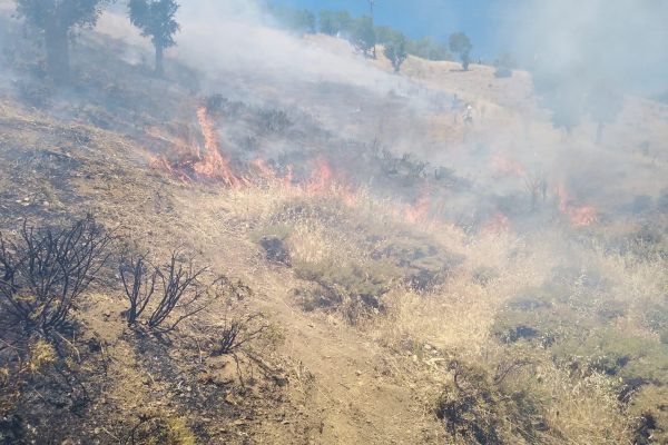 Sincik ilçesinde orman yangını söndürüldü