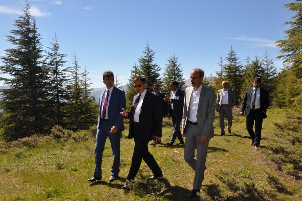 Sincik İlçesine Mesire Alanı Yapılıyor