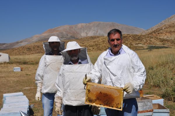 Sincik'te Bal Hasadı Başladı