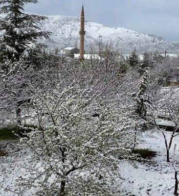 SİNCİK'TE NİSAN KARI ETKİLİ OLMAYA DEVAM EDİYOR