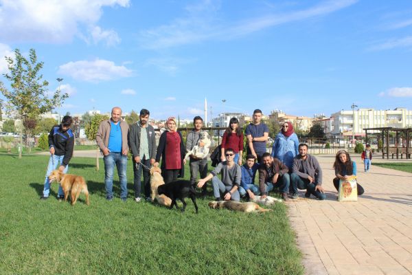 Sokak hayvanlarını yalnız bırakmıyorlar
