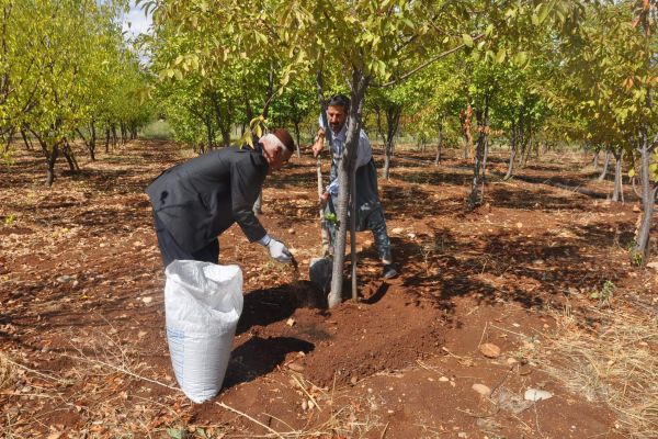 Solucan Gübresi Ve Damla Sulama İle Tarım Konferansı