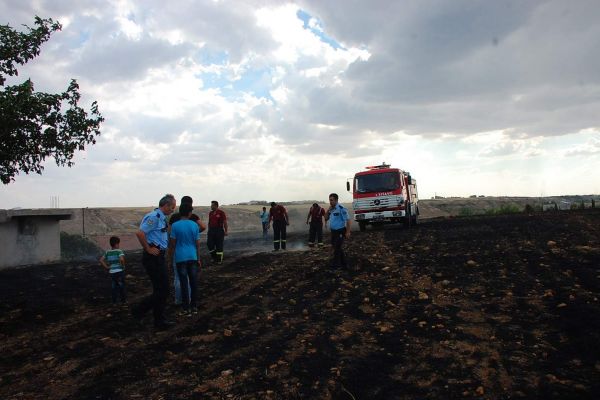 TARLADA ÇIKAN YANGIN EVLERE SIÇRAMADAN SÖNDÜRÜLDÜ