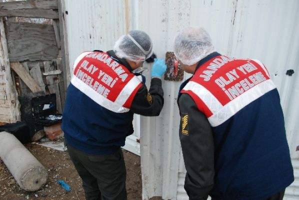 Tarladan 200 kilo fıstık çaldılar