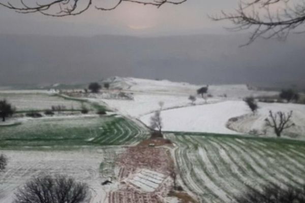 Tarlalar beyaza büründü 