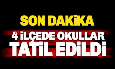 Adıyaman#39;ın 4 ilçesinde okullar tatil edildi