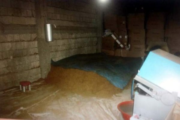 Tütün hırsızları suçüstü yakalandı