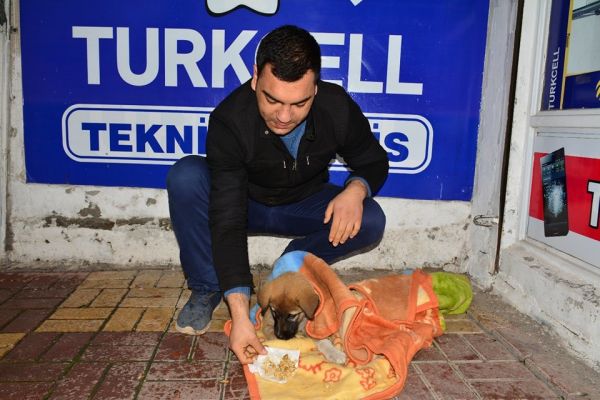 Üşüyen yavru köpeğe şefkat